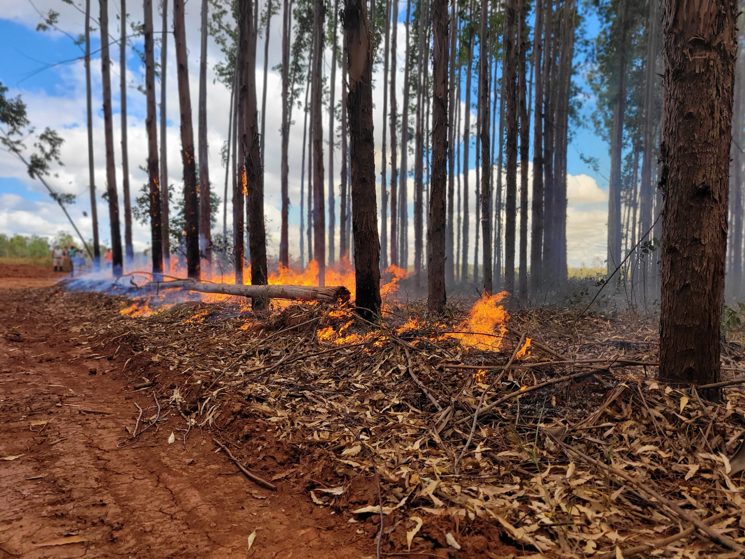 Instituições se unem em campanha de prevenção e combate aos incêndios florestais em Minas