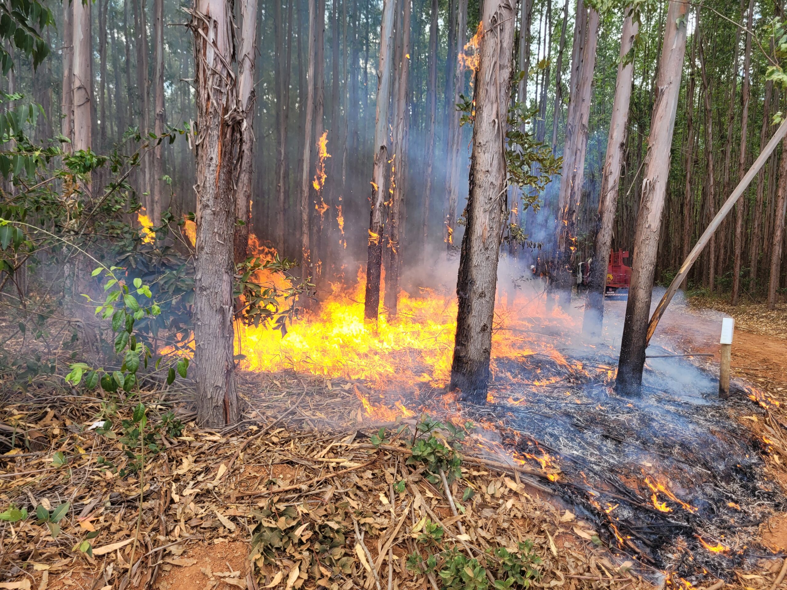 Instituições se unem em campanha de prevenção e combate aos incêndios florestais em MG